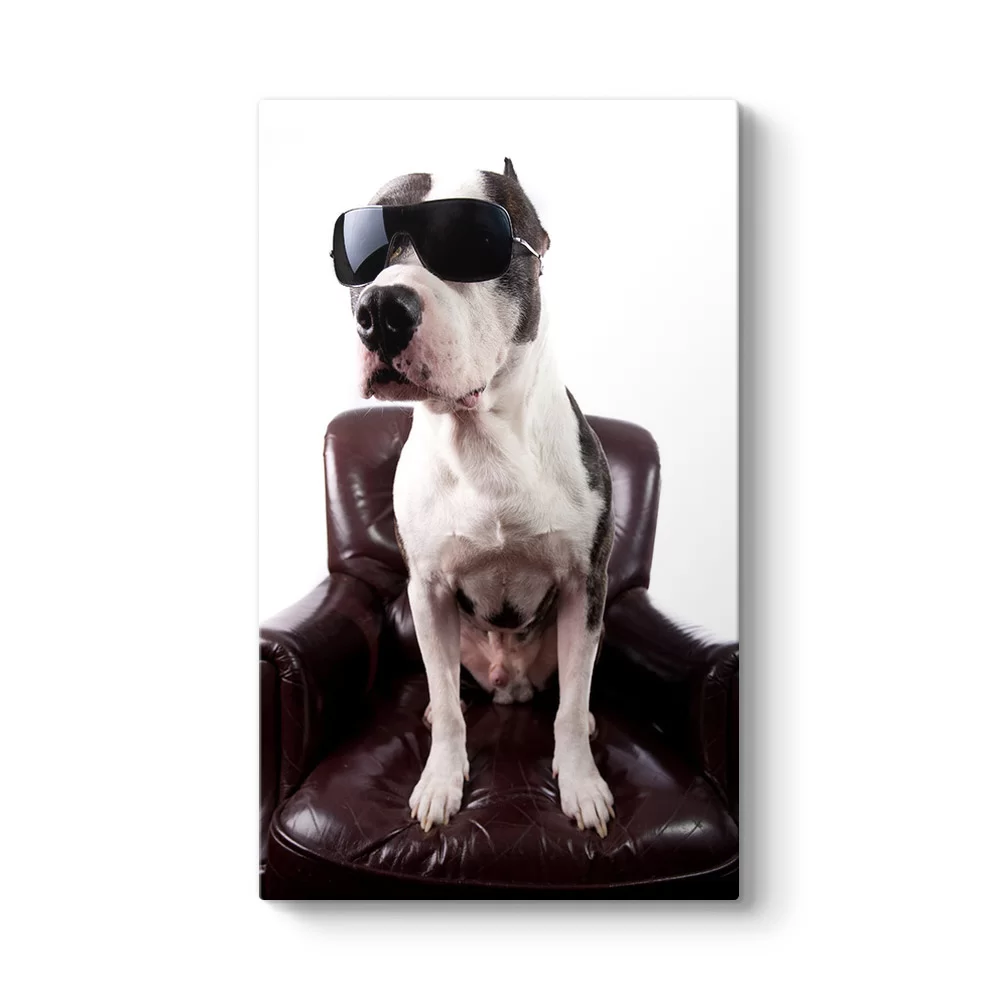 Gözlüklü Pitbull Tablosu - Model 35